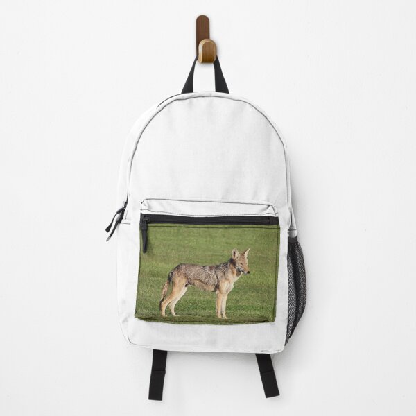 Item preview, Beautiful Coyote designed and sold by simonjayphotos.