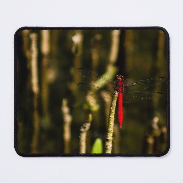 Item preview, Taking a break designed and sold by Maribel Baez Montalvo.
