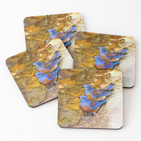 Item preview, Lovely Male Western Blue Birds designed and sold by simonjayphotos.