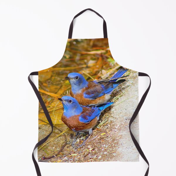 Item preview, Lovely Male Western Blue Birds designed and sold by simonjayphotos.