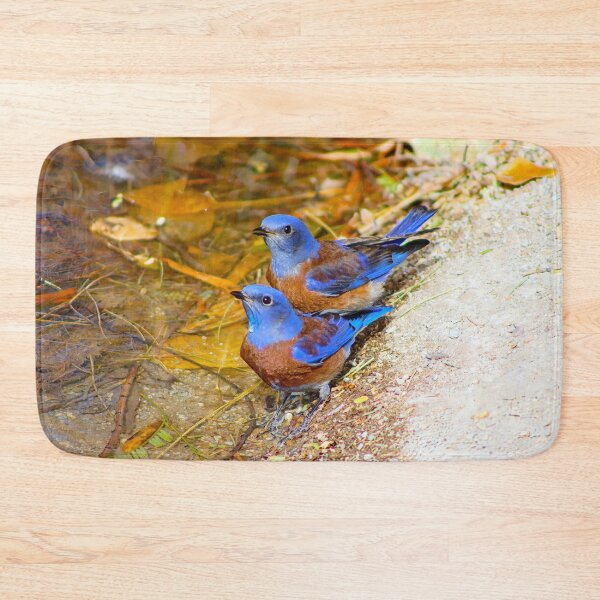 Item preview, Lovely Male Western Blue Birds designed and sold by simonjayphotos.