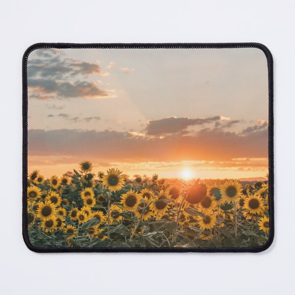 Item preview, Golden Field of Sunflowers designed and sold by rwelzphoto.