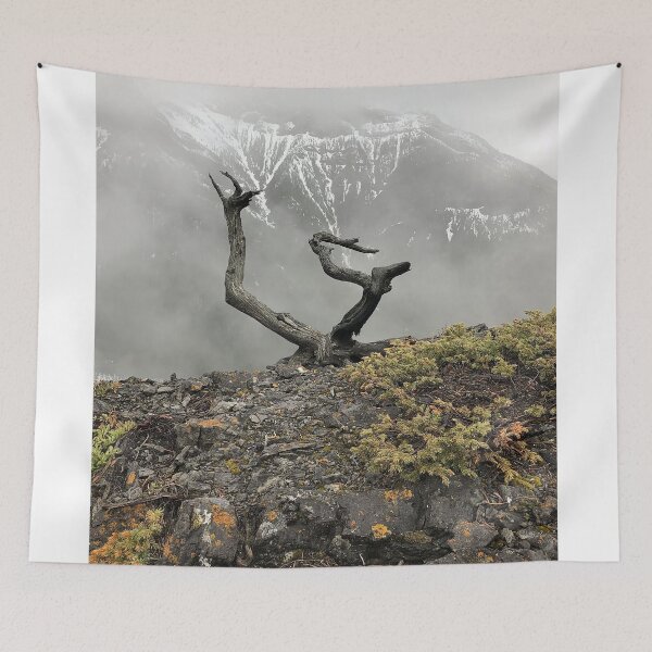 Item preview, Lonely Tree - Wasootch creek designed and sold by hudhagha.