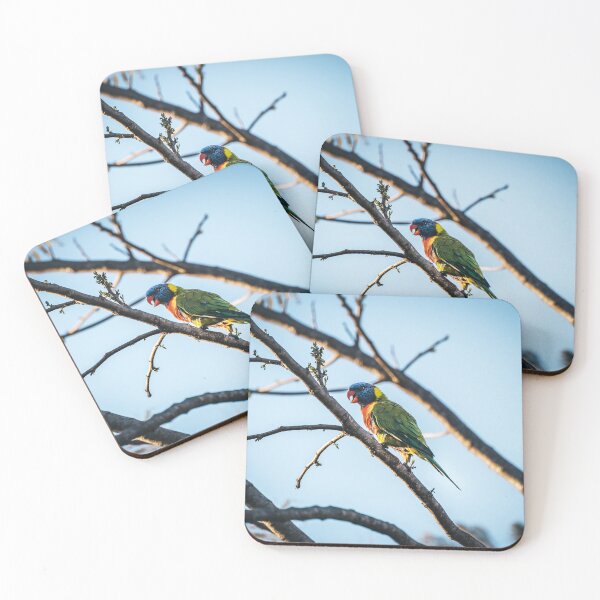 Item preview, Rainbow Lorikeet in a Tree designed and sold by rwelzphoto.