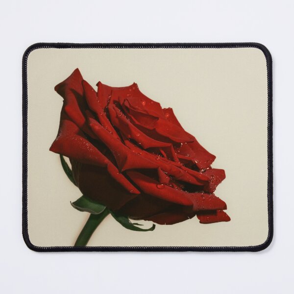 Item preview, Raspberry rose designed and sold by AnnaKova8.