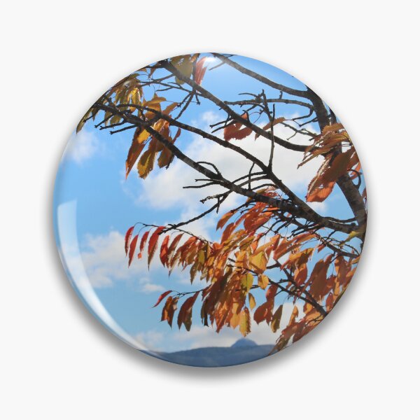 Item preview, Autumn in Te Anau designed and sold by FmmNZ.
