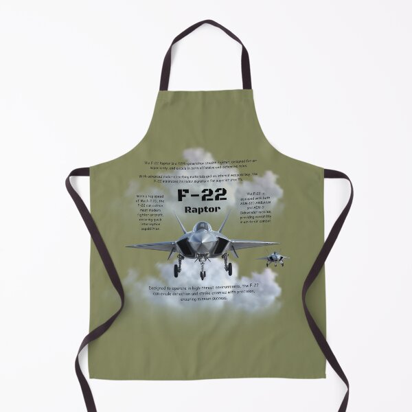 Item preview, F-22 Raptor designed and sold by rocklegends99.