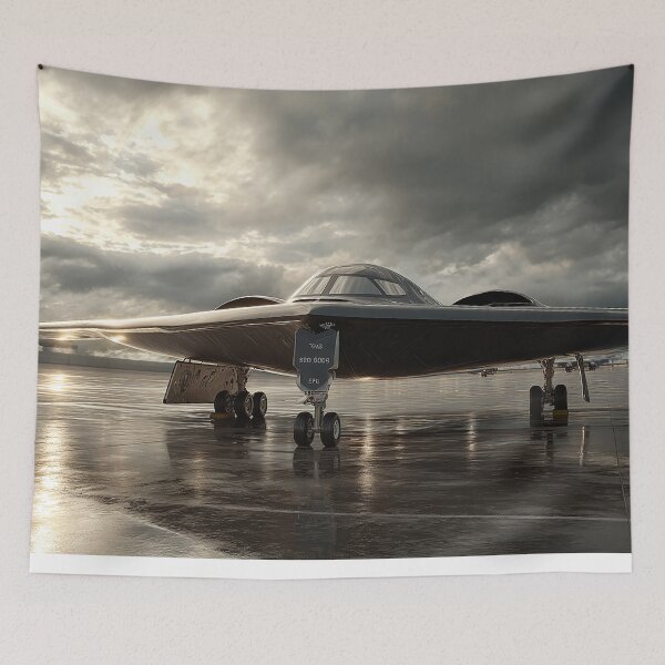 Item preview, Wings of Shadow designed and sold by Skyframe Aviation.