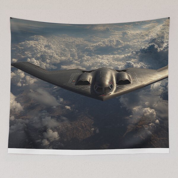 Item preview, B-2 Overwatch designed and sold by Skyframe Aviation.
