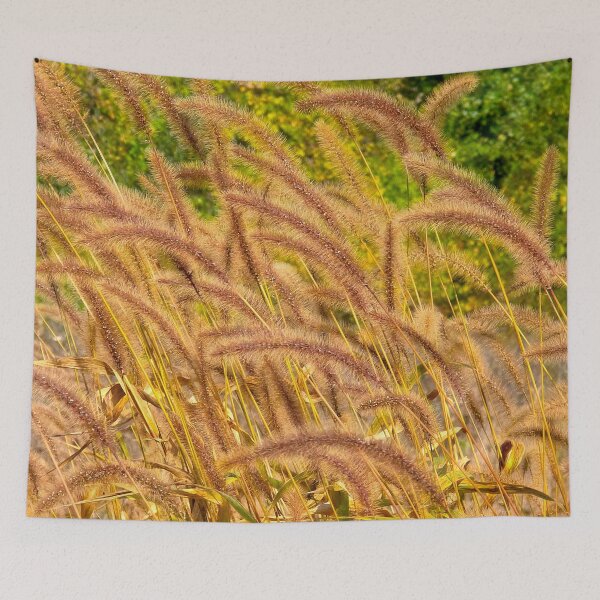 Item preview, Field of Fountain Grass designed and sold by bjtomiko.