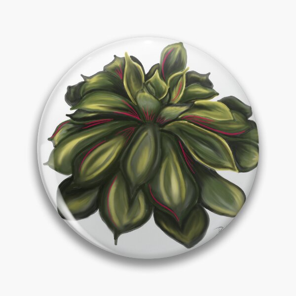 Item preview, Mexican Snowball Succulent-Illustration-Original designed and sold by deblevart.