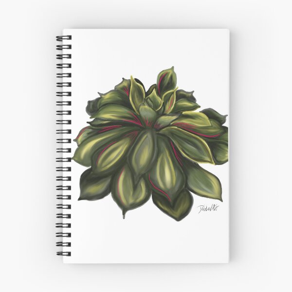 Item preview, Mexican Snowball Succulent-Illustration-Original designed and sold by deblevart.