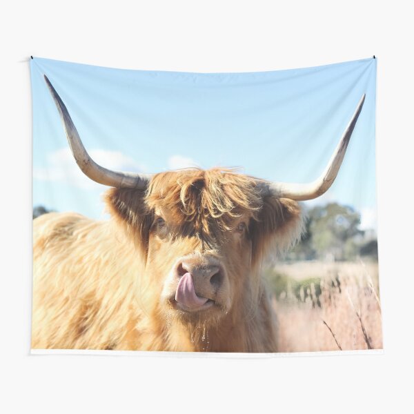 Tongue Out Highland Cow Tapestry For Sale By Kimdeans Redbubble