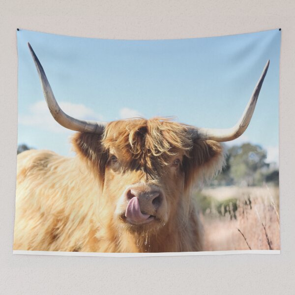 Item preview, Tongue out Highland cow designed and sold by Kim Deans.