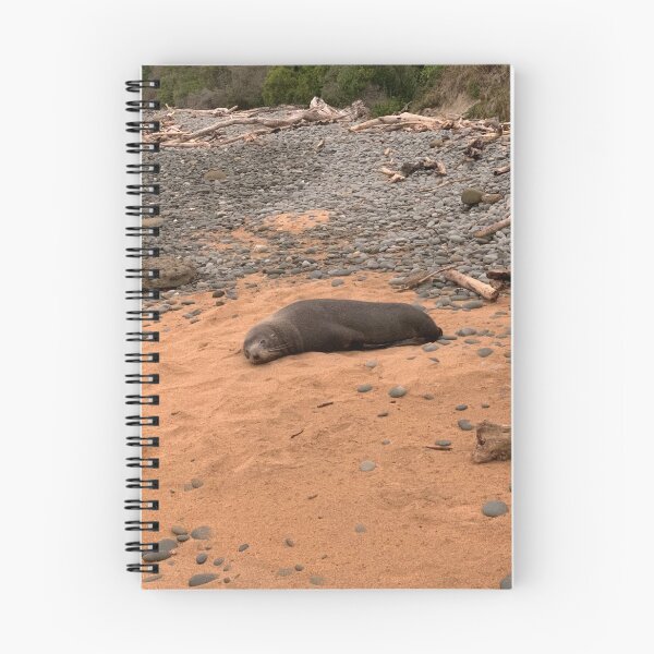 Item preview, Sleepy Sealion designed and sold by FmmNZ.