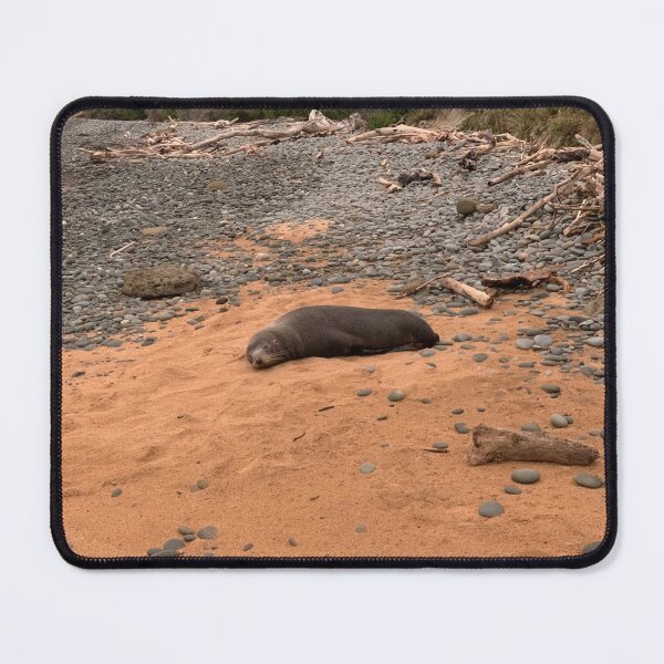 Item preview, Sleepy Sealion designed and sold by FmmNZ.
