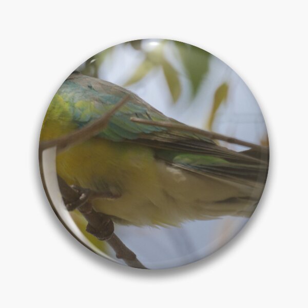 Item preview, Red Rumped Parrot  designed and sold by D-GaP.