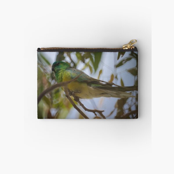 Item preview, Red Rumped Parrot  designed and sold by D-GaP.