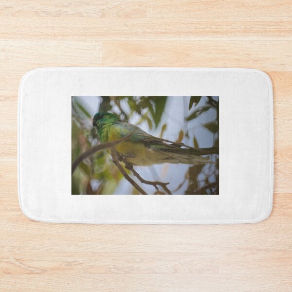Item preview, Red Rumped Parrot  designed and sold by D-GaP.