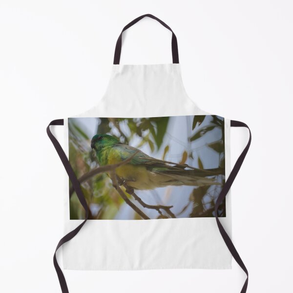 Item preview, Red Rumped Parrot  designed and sold by D-GaP.