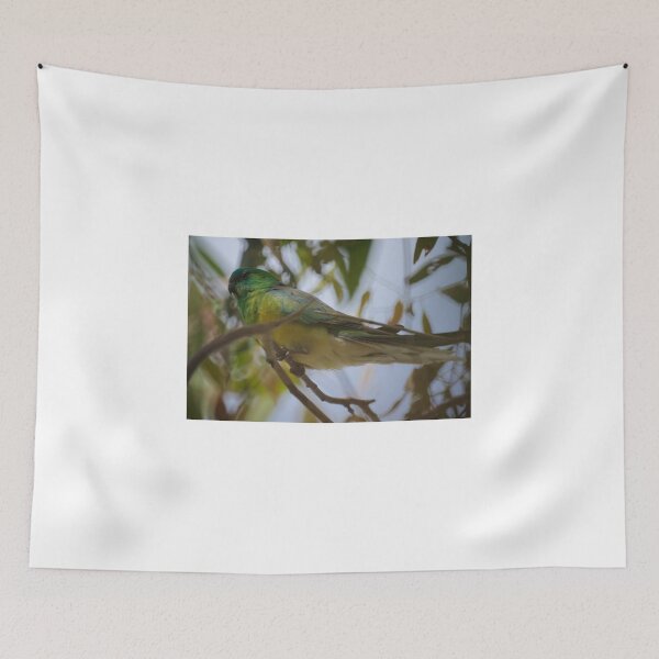 Item preview, Red Rumped Parrot  designed and sold by D-GaP.