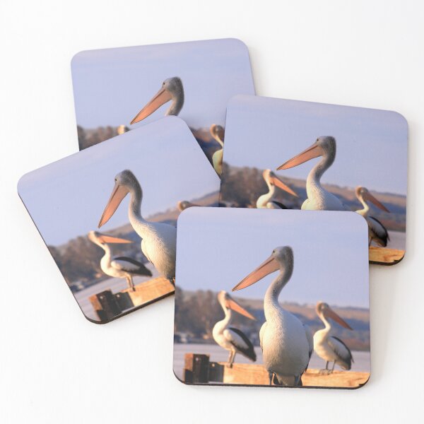 Item preview, Pelicans on lookout designed and sold by jwwallace.