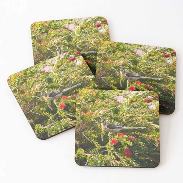 Item preview, Yellow Wattle bird amongst the Banksia trees designed and sold by NicBucci.