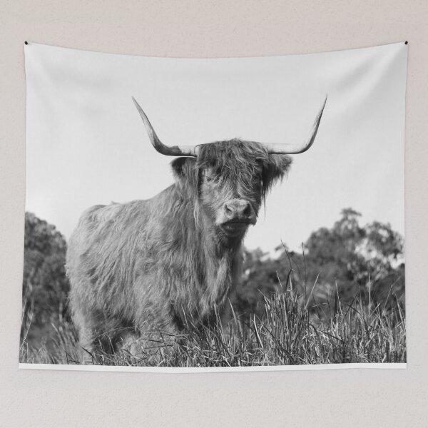 Item preview, Highland cow in black & white designed and sold by Kim Deans.