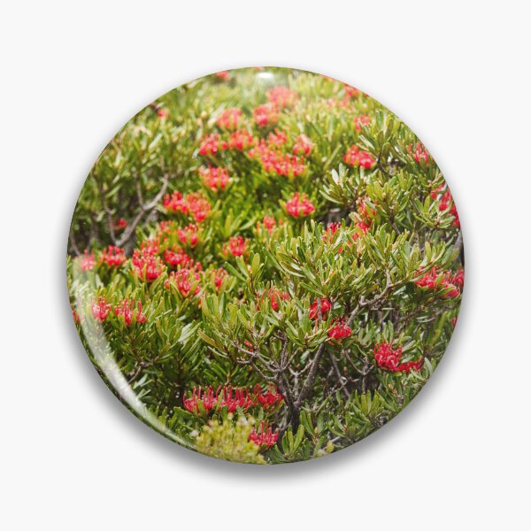 Item preview, Waratah Grove in Tasmania Australia designed and sold by NicBucci.