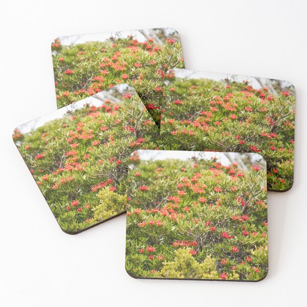 Item preview, Waratah Grove in Tasmania Australia designed and sold by NicBucci.