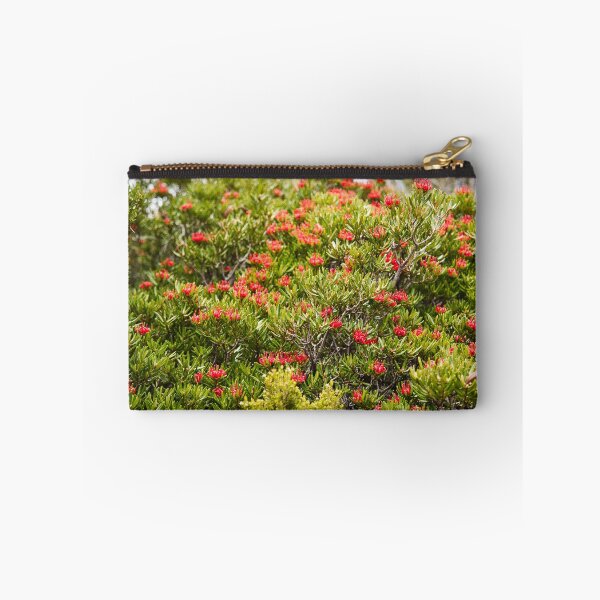 Item preview, Waratah Grove in Tasmania Australia designed and sold by NicBucci.