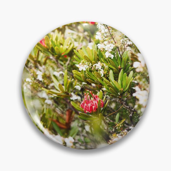 Item preview, Waratah flower in bloom designed and sold by NicBucci.