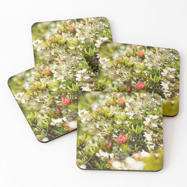 Item preview, Waratah flower in bloom designed and sold by NicBucci.