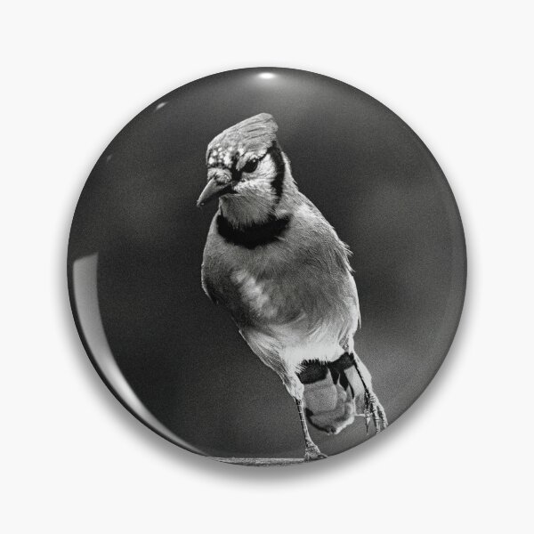 Item preview, Blue Jay in B&W designed and sold by Del Phoenix Photography.