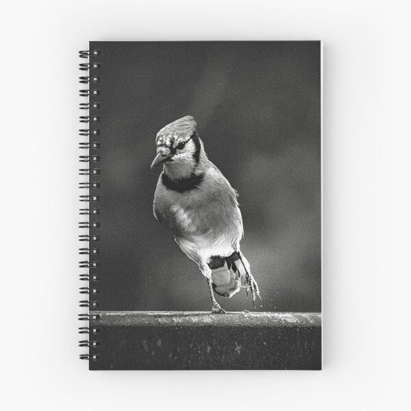 Item preview, Blue Jay in B&W designed and sold by Del Phoenix Photography.