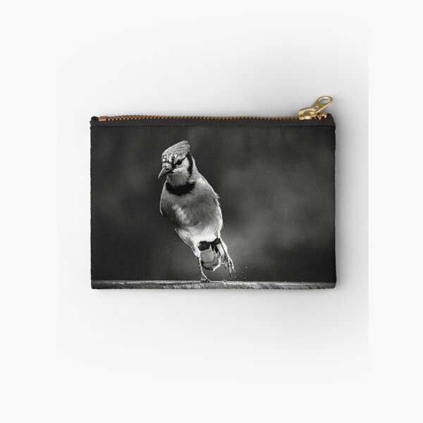 Item preview, Blue Jay in B&W designed and sold by Del Phoenix Photography.