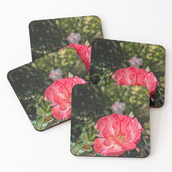 Item preview, Delicados pétalos rosados de una rosa designed and sold by Betsy Phillips.