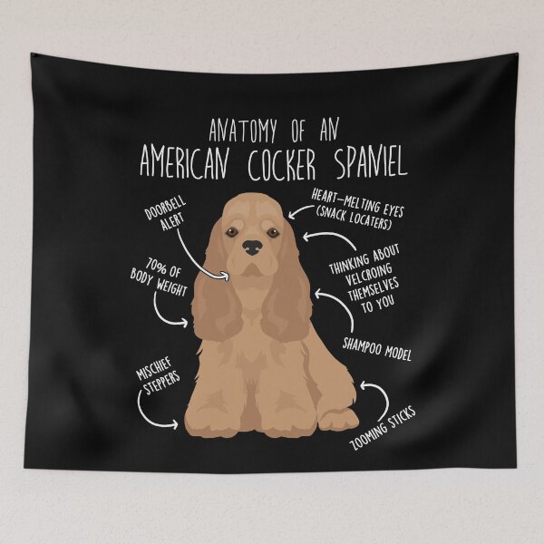 Item preview, Buff American Cocker Spaniel Dog Anatomy designed and sold by Clara Hollins.