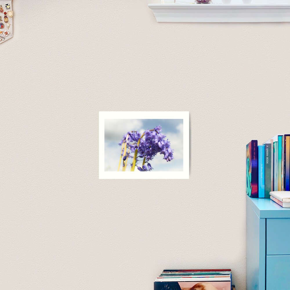 Bluebell Art Print