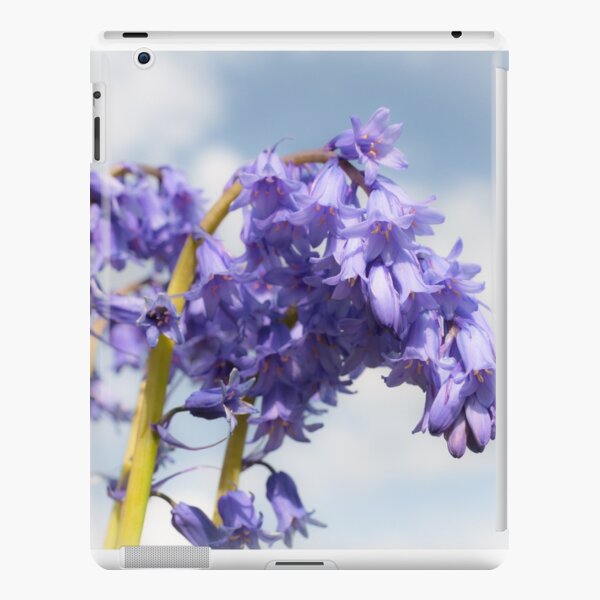 Bluebell iPad Snap Case