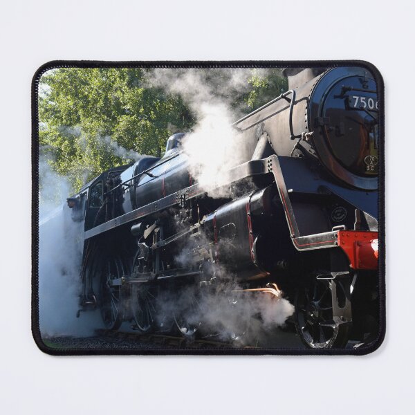 Item preview, BR Standard steam loco 75069 designed and sold by Random Railways.