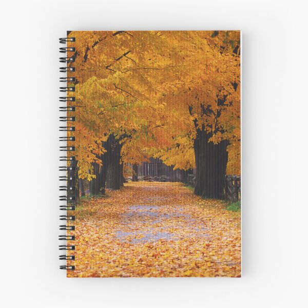 Item preview, XP Background - Autumn designed and sold by CultureEmporium.