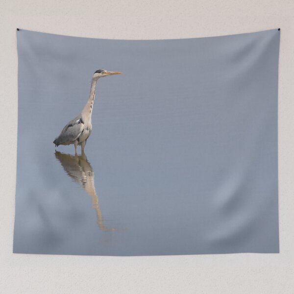 Item preview, Shallow - Grey Heron designed and sold by lyttonimages.