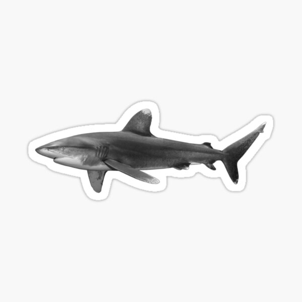 Item preview, Oceanic White Tip Shark designed and sold by Heidi Ingram.