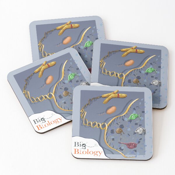 Item preview, Evolution across different scales designed and sold by BigBiology.