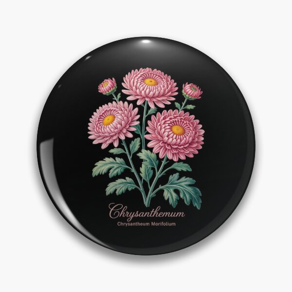 Item preview, Chrysanthemum Flower Scientific Name Illustration Flowers designed and sold by ticlitule.