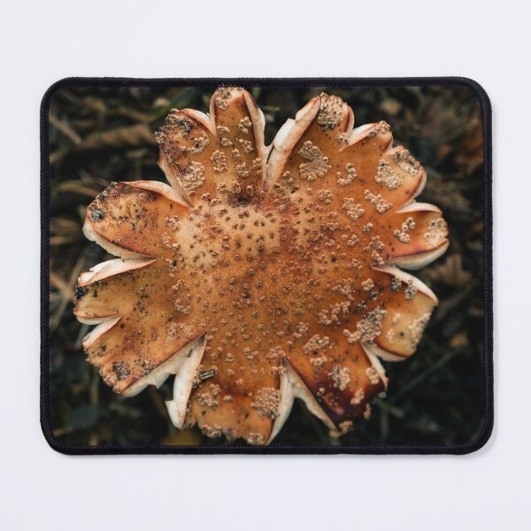 Item preview, Mushroom Cap Texture – Forest Photography designed and sold by alicjamiekina.