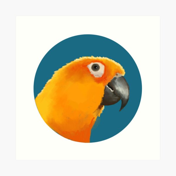 Conure Art Prints Redbubble