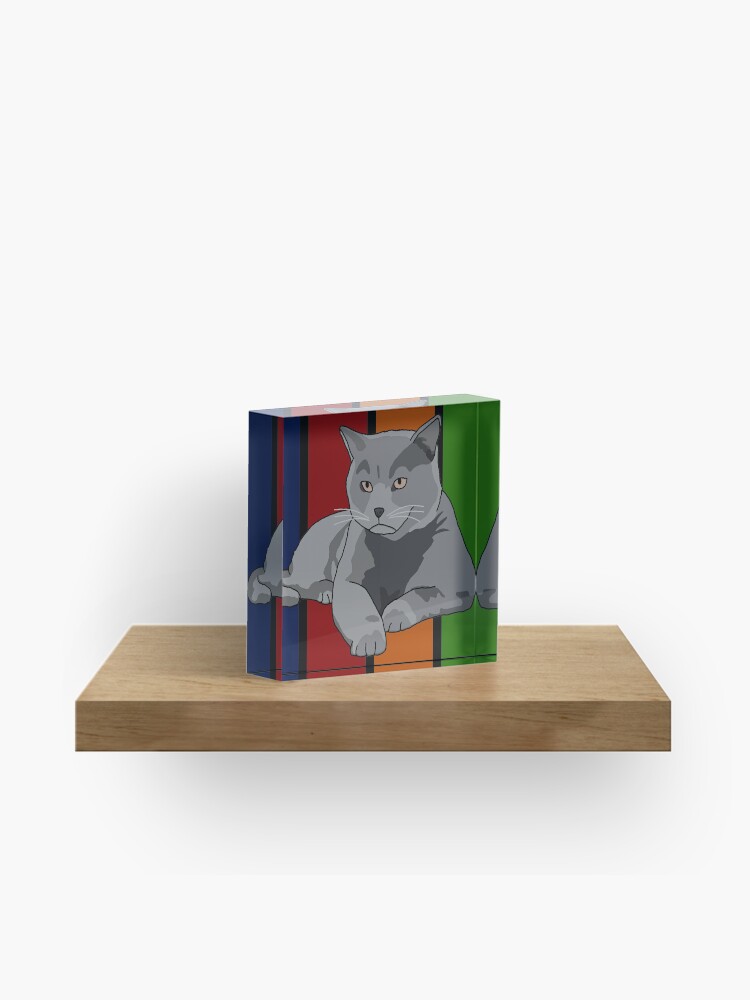 Cat British Shorthair Comic Acrylic Block By Nijess Redbubble