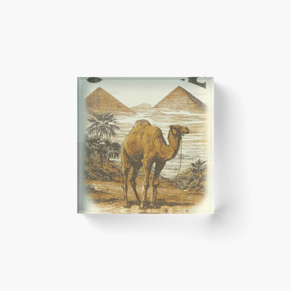 Item preview, Vintage Camel Desert Graphic Design designed and sold by WhoopsieWorld.